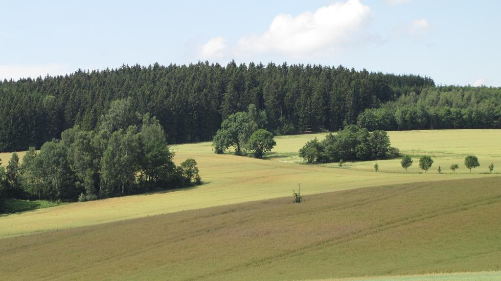 Stollenklause Apartment Hormersdorf  Екстериор снимка